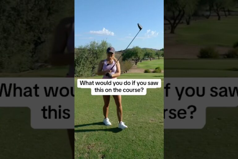 It would become my pet #golf It would become my pet #golf