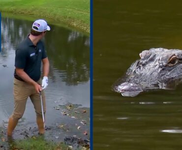 Vince Whaley plays from lake with GATOR just feet away | Sanderson Farms
