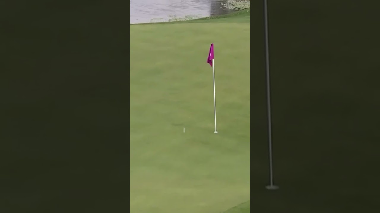 Grace Kim hits this stunner and eagles 18 to force a playoff 👊 Grace Kim hits this stunner and eagles 18 to force a playoff 👊