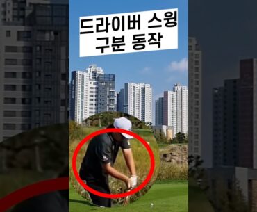 드라이버 스윙템포는 이 영상으로 연습해 보세요 - 임성재 프로 드라이버스윙 슬로우모션 #드라이버템포 #드라이버리듬 #드라이버백스윙속도 #드라이버다운스윙 #드라이버연습 #드라이버티샷