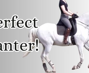 Canter Masterclass:  How to Ask for Canter, Sit in Canter and Ride the Canter in Balance