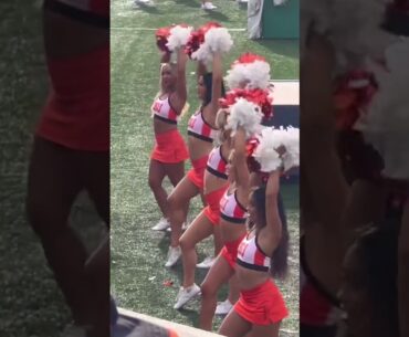 Cheerleaders cheerleading