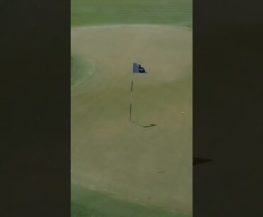 You see that?! Crazy hole-out from Thomas Pieters. You don’t teach shots like that… 🤯