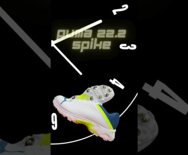 Best Cricket Spike shoes for 2025, Maximum Grip, Speed & Comfort