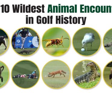 Top 10 Wildest Animal Encounters in Golf History