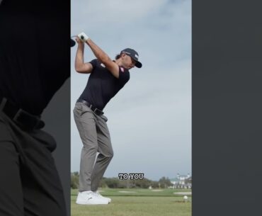 Cobra vs Ping: Best Driver for Your Golf Game? #shorts