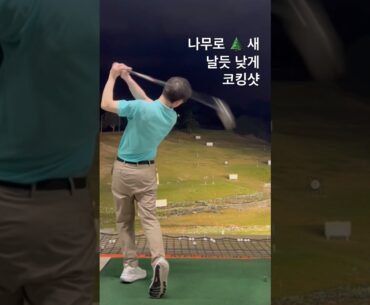클럽어깨뒤에 낮게 새날듯 내리며 하프샷하듯 작게 뒤에서
