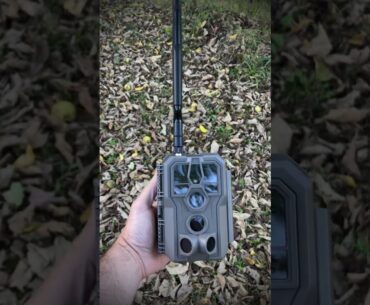 New Deer Cam! 🦌 #deerhunting #gardepro