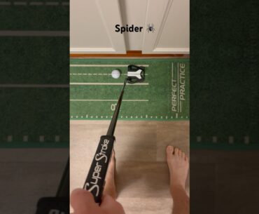 Taylormade Spider Tour X on the Perfect Practice Mat #golf #taylormadegolf #putting #playbettergolf
