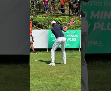 Bjorn HELLGREN  프로의 불꽃 드라이버 샷 #koreagolf #골프스타 #골프스윙 #golfswing