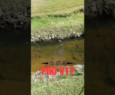 Is it a Pro V1 in this creek? #golf #golfer #golfing #golfswing #golflife #foryou