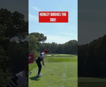 Birdie ALERT! 🕊️