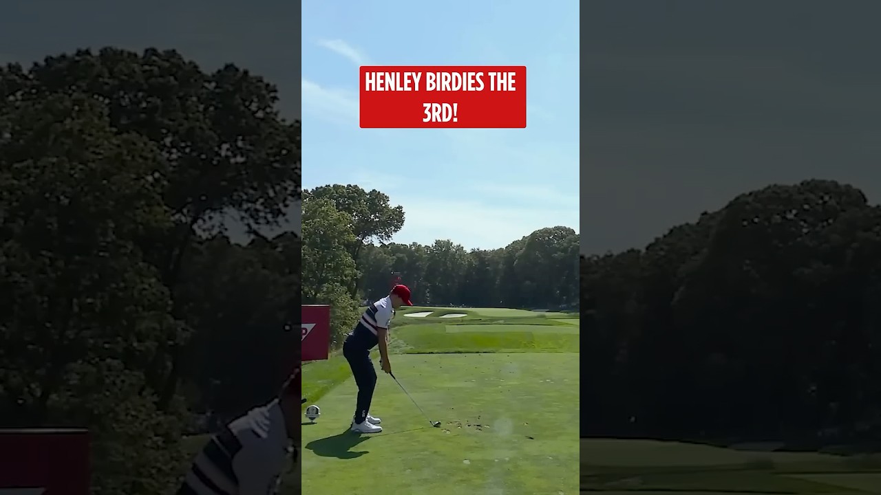 Birdie ALERT! 🕊️ Birdie ALERT! 🕊️