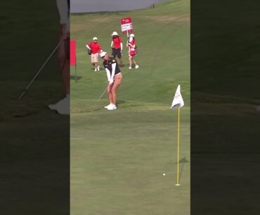 JEENO CHIPS IN FOR BIRDIE 💥🚨 JEENO CHIPS IN FOR BIRDIE 💥🚨