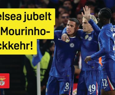 Chelsea – Benfica | UEFA Champions League | DAZN Highlights Chelsea - Benfica | UEFA Champions League | DAZN Highlights