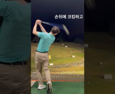 클럽어깨뒤에 내리며 몸두고 새 날듯 코킹샷