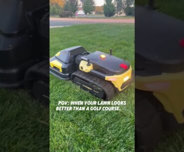 POV: When Your Lawn Looks Better Than a Golf Course ⛳🌱