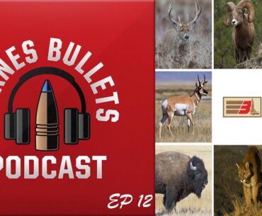 Top Cartridges for Hunting North America Game - Episode 12