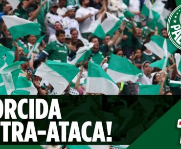 A FAMÍLIA PALMEIRAS SE UNE CONTRA OS ATAQUES E INSINUAÇÕES DESPROPORCIONAIS