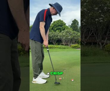 New Putter SHOCKS Me! OZ1 HS vs. DF3: Golf Gear Review