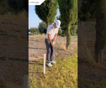 Golf Rules Tip | White Stake (O.B.) #golf #rules #golfrules #rulesofgolf #golftips #golfing #golfer