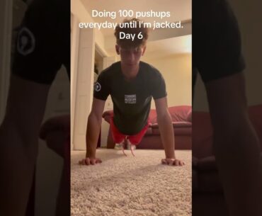 Doing 100 pushups everyday until I’m jacked: Day 6 💪🏻 #shortsfeed #shorts #pushups #viral