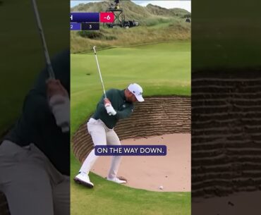 Now THAT is a bunker shot! 🏖️