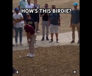 HOW’S THIS BIRDIE? 👀 #lekagolf #greatchip #greatgolfrecovery #birdieingolf