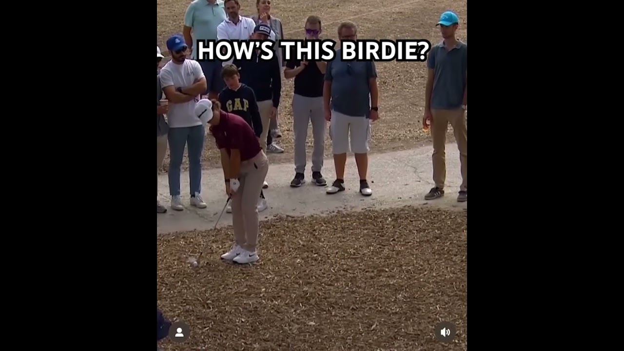 HOWโS THIS BIRDIE? ๐ #lekagolf #greatchip #greatgolfrecovery #birdieingolf HOWโS THIS BIRDIE? ๐ #lekagolf #greatchip #greatgolfrecovery #birdieingolf