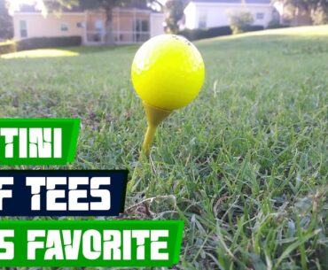 Martini Golf Tees REVIEW: Do These UNBREAKABLE Tees Really Give You LONGER & STRAIGHTER Drives?