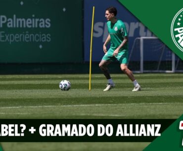 PALMEIRAS TREINOU, MAS E O ABEL? E O GRAMADO? VÃO TROCAR?