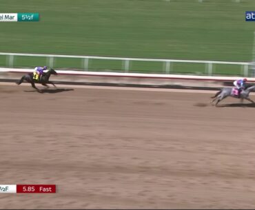 Record-breaking $3m colt BRANT is sensational on Del Mar debut!