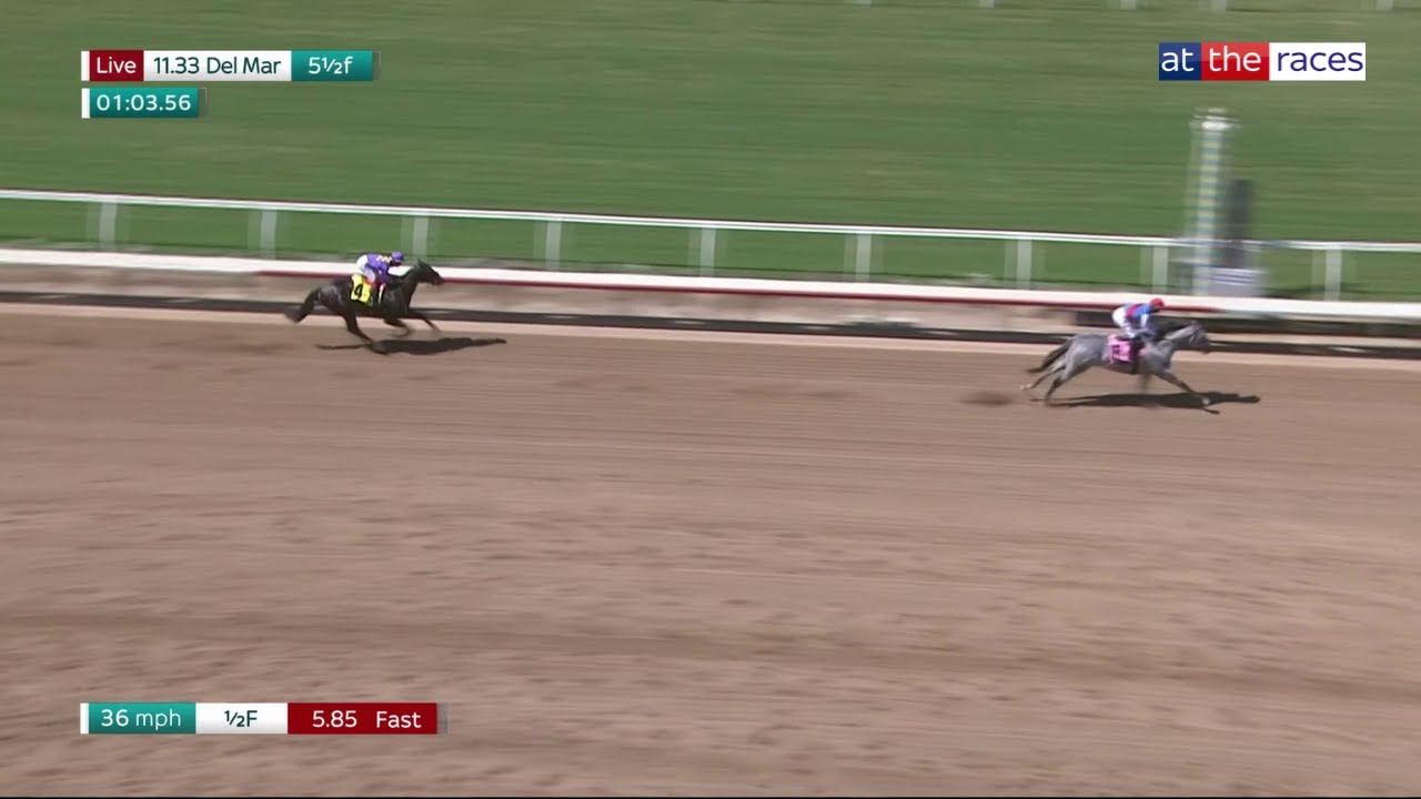 Record-breaking $3m colt BRANT is sensational on Del Mar debut! Record-breaking $3m colt BRANT is sensational on Del Mar debut!