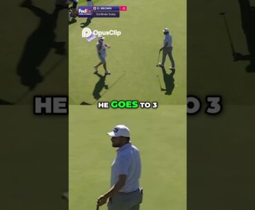 Dan Brown's Incredible Golf Shots  3 Birdies!