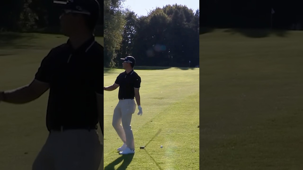 Wait, WHAT?! ๐ Wait, WHAT?! ๐