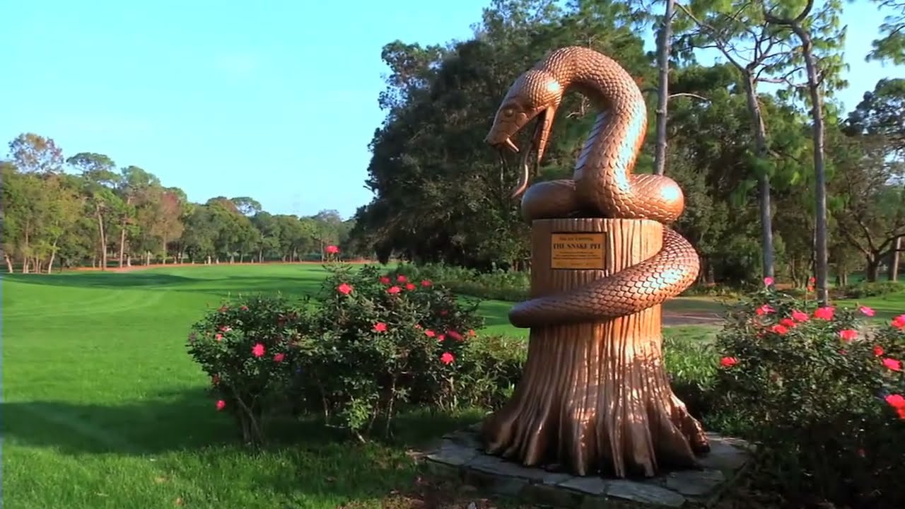The Innisbrook Resort #golf #golfdestination #golftrips #golflife #golfing #florida #bucketlist #pga The Innisbrook Resort #golf #golfdestination #golftrips #golflife #golfing #florida #bucketlist #pga