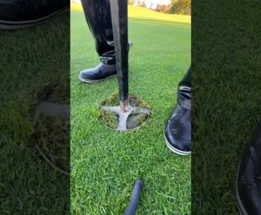 This Tool Fixes the Golf Course Like Magic 😳⛳️