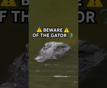 Do NOT try this at home 😱