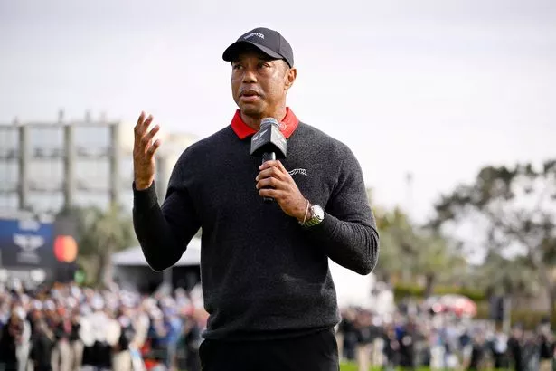 Tiger Woods underwent lumbar disc replacement surgery in his spine last week