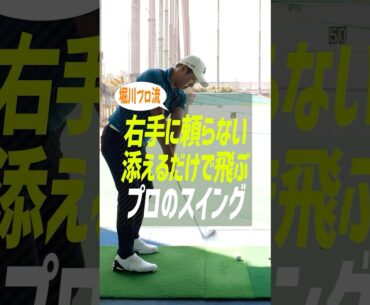 飛距離を出すには「右手は添えるだけ」！悪さしがちな右半身を直すスイング理論【堀川未来夢プロ】 #ゴルフ #アイアン #堀川未来夢 #ゴルフ上達