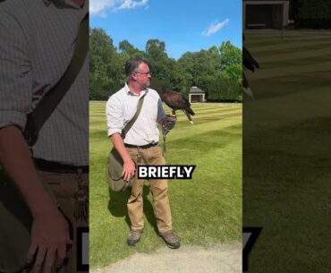 Gleneagles: Where championship golf meets pure Scottish luxury.