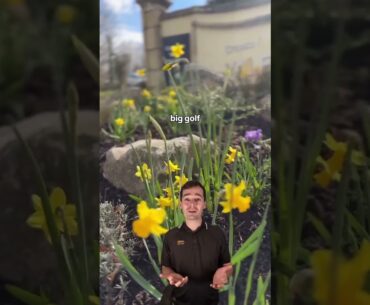 Vale Hotel, Golf & Spa Resort, Wales | Hashtag Golf Travel