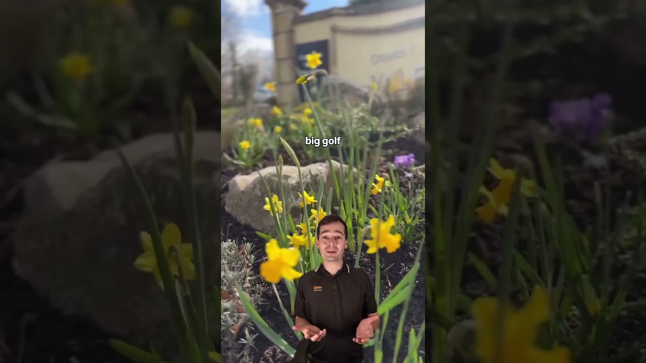 Vale Hotel, Golf & Spa Resort, Wales | Hashtag Golf Travel Vale Hotel, Golf & Spa Resort, Wales | Hashtag Golf Travel