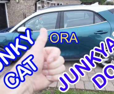 GWM ORA funky Cat Electric. FUNK or JUNK?