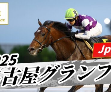 2025年 名古屋グランプリJpnII｜第25回｜NAR公式