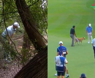 Crazy Golf Moments | 2025 DP World India Championship Crazy Golf Moments | 2025 DP World India Championship