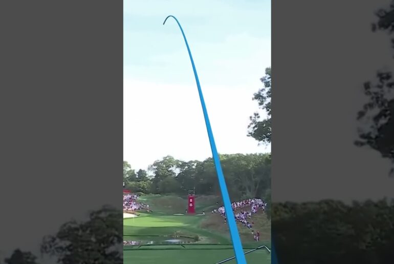 Cam Young’s INSANE tee shot Cam Young's INSANE tee shot