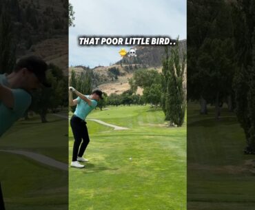 Mark a 3 and move on 🤣😂 #golf #golfer #golfing #golfswing #golftips