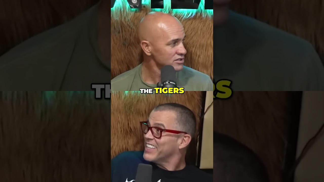 Kelly Slater Gives Advices on How to Confront Sharks Kelly Slater Gives Advices on How to Confront Sharks