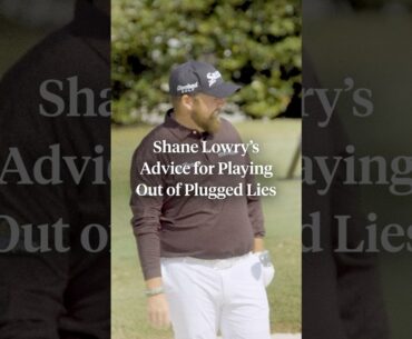 Shane Lowry’s advice for playing out of a plugged lie in a bunker 🙌 Shane Lowry’s advice for playing out of a plugged lie in a bunker 🙌